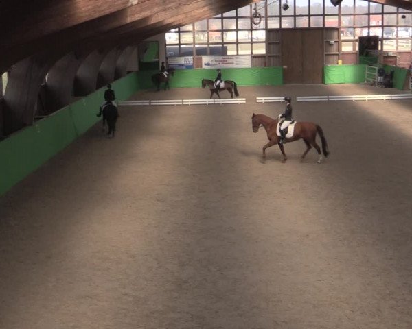 Reitturnier Krumke 2022
