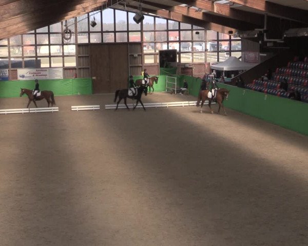 Reitturnier Krumke 2022