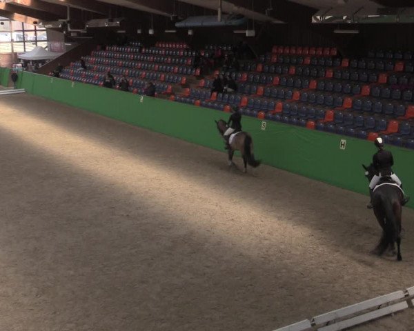 Reitturnier Krumke 2022