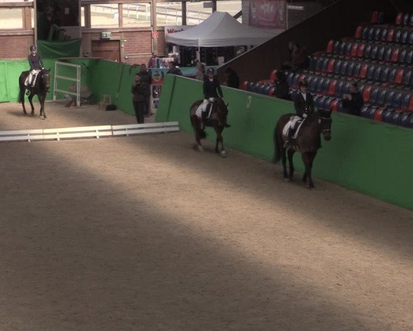 Reitturnier Krumke 2022