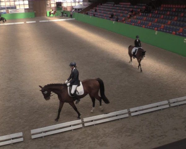Reitturnier Krumke 2022
