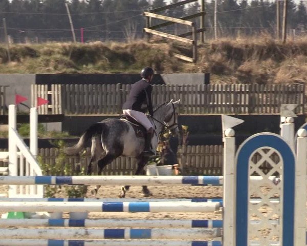 Reitturnier Schülp / Rendsburg 2022