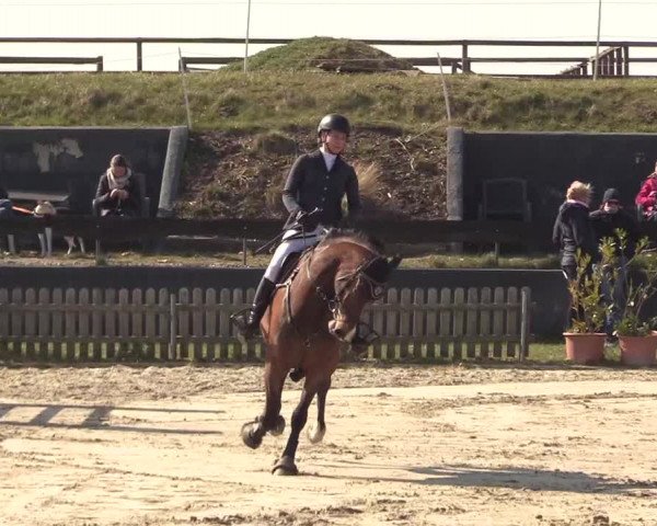 Reitturnier Schülp / Rendsburg 2022
