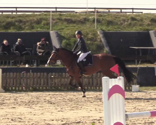 Reitturnier Schülp / Rendsburg 2022