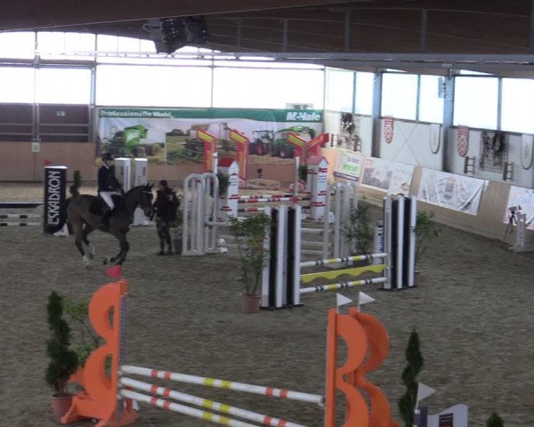 Reitturnier Borgholzhausen-Westbarthausen 2022