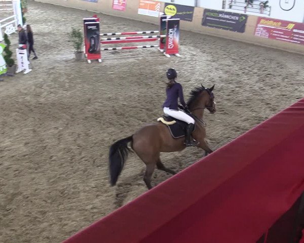Reitturnier Borgholzhausen-Westbarthausen 2022
