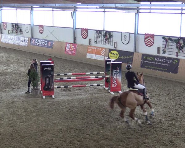 Reitturnier Borgholzhausen-Westbarthausen 2022