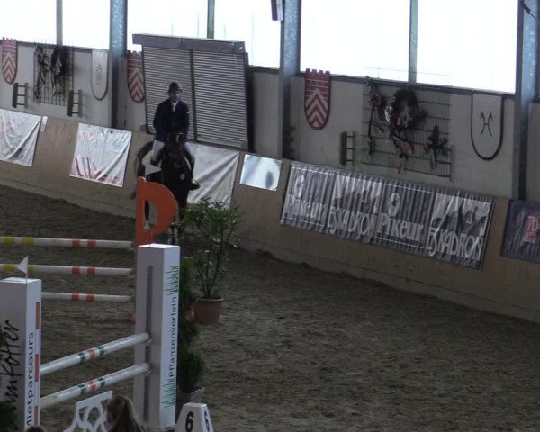 Reitturnier Borgholzhausen-Westbarthausen 2022
