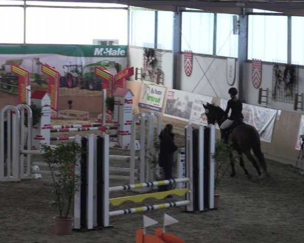 Reitturnier Borgholzhausen-Westbarthausen 2022