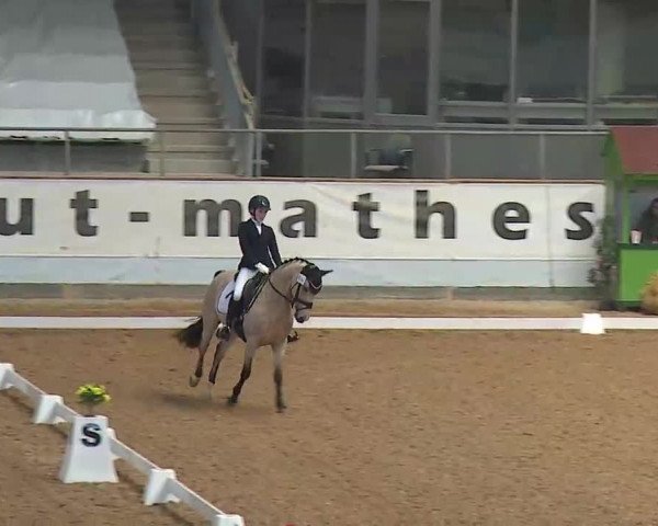 Reitturnier Kreuth/Opf. 2022