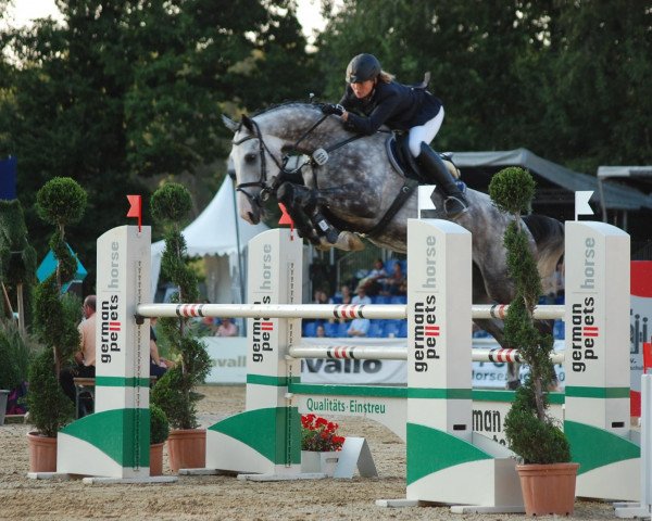 jumper Hui Buh 7 (Westphalian, 2008, from Cornado NRW)