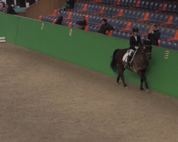 Reitturnier Krumke 2022
