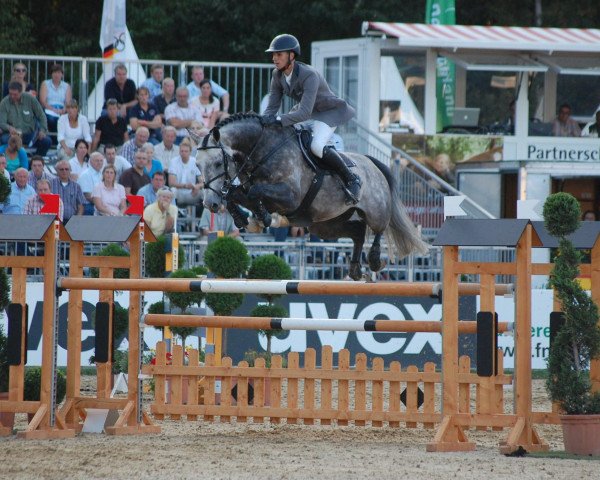 jumper DSP Colfosco (German Sport Horse, 2008, from Check In 2)