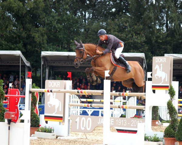jumper Co-Pilot 6 (Oldenburg show jumper, 2006, from Berlin)