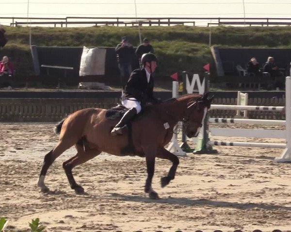Reitturnier Schülp / Rendsburg 2022