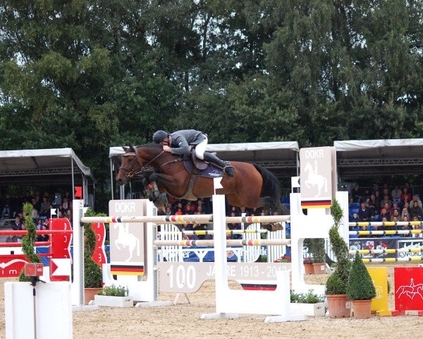 jumper Cantara 59 (Hanoverian, 2006, from Cristo)