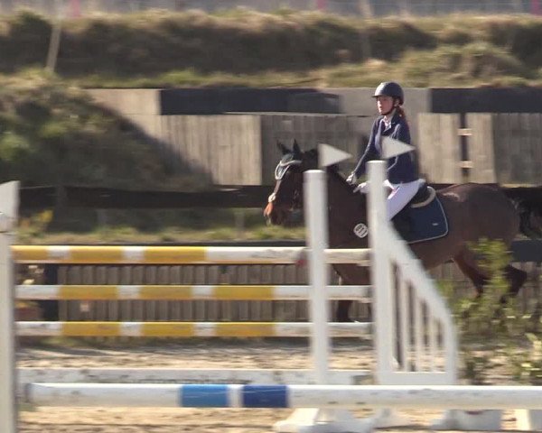 Reitturnier Schülp / Rendsburg 2022