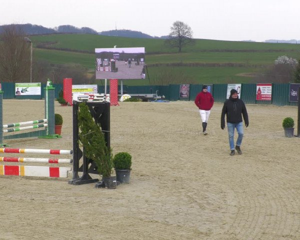 Reitturnier Lindlar-Süttenbach 2022
