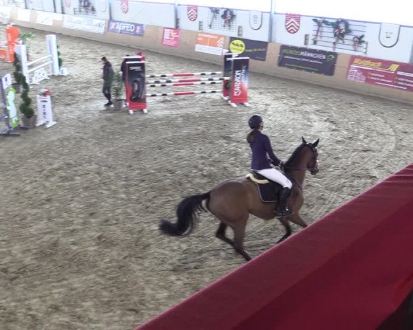 Reitturnier Borgholzhausen-Westbarthausen 2022