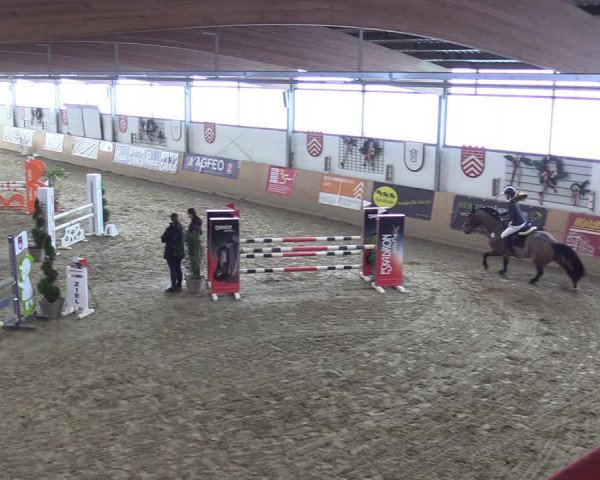 Reitturnier Borgholzhausen-Westbarthausen 2022