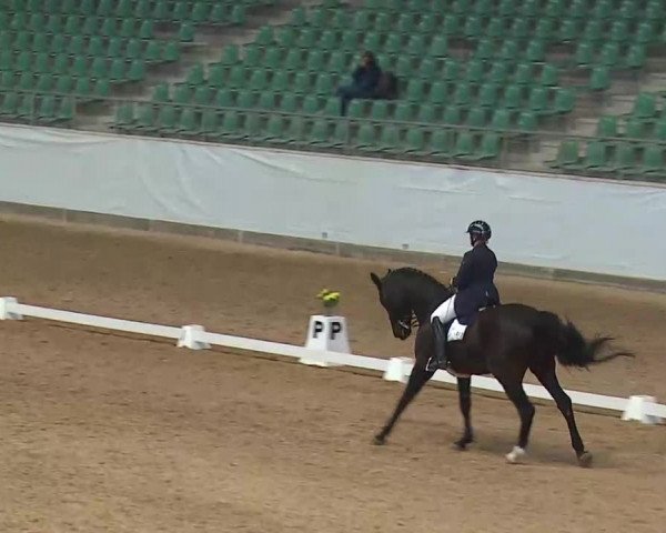 Reitturnier Kreuth/Opf. 2022
