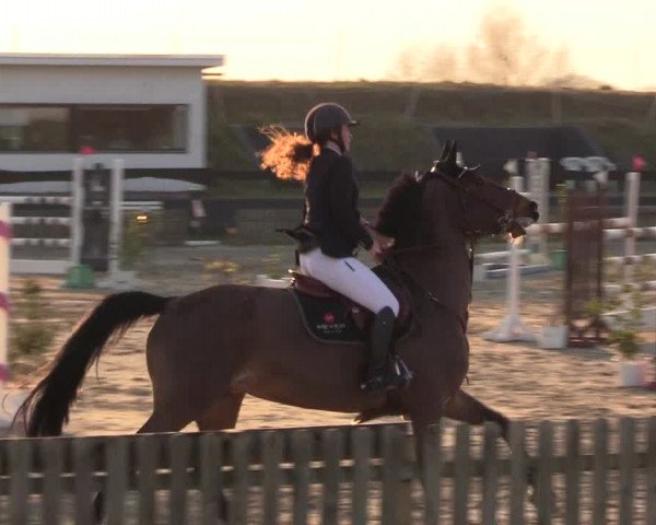 Reitturnier Schülp / Rendsburg 2022