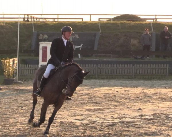 Reitturnier Schülp / Rendsburg 2022