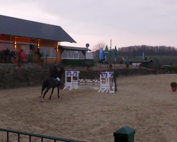 Reitturnier Lindlar-Süttenbach 2022