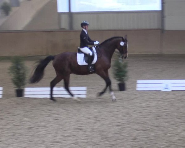 Reitturnier Ahaus 2022