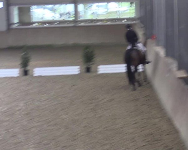 Reitturnier Ahaus 2022