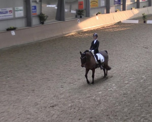 Reitturnier Ahaus 2022