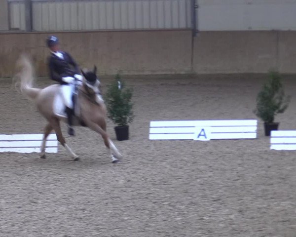 Reitturnier Ahaus 2022