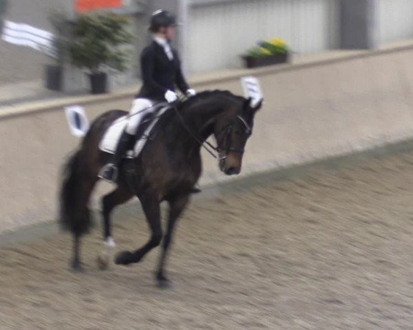 Reitturnier Ahaus 2022