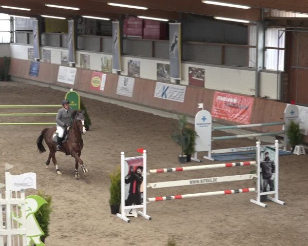 Reitturnier Grevenbroich - Gut Neuhaus 2022