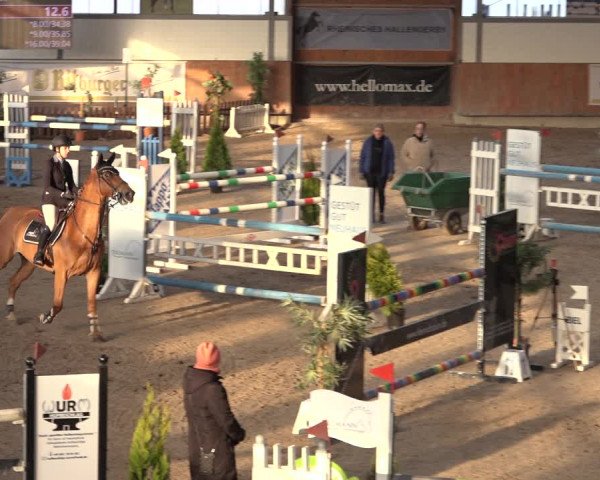Reitturnier Grevenbroich - Gut Neuhaus 2022