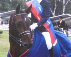 dressage horse Robbiani's Flair (Oldenburg, 1994, from Rohdiamant)
