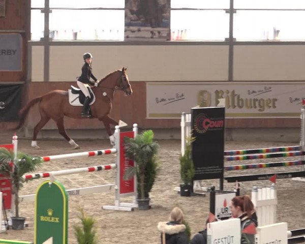 Reitturnier Grevenbroich - Gut Neuhaus 2022