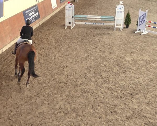 Reitturnier Grevenbroich - Gut Neuhaus 2022