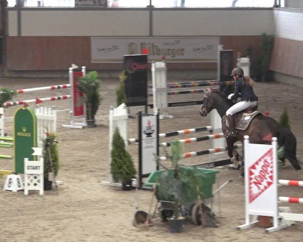 Reitturnier Grevenbroich - Gut Neuhaus 2022