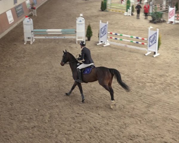 Reitturnier Grevenbroich - Gut Neuhaus 2022