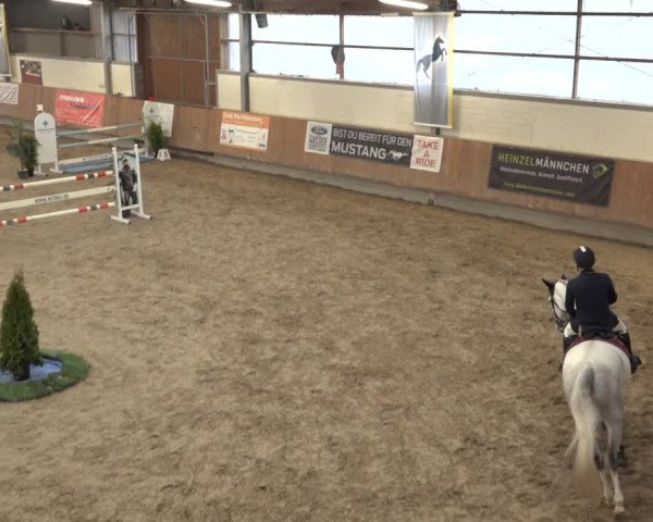 Reitturnier Grevenbroich - Gut Neuhaus 2022