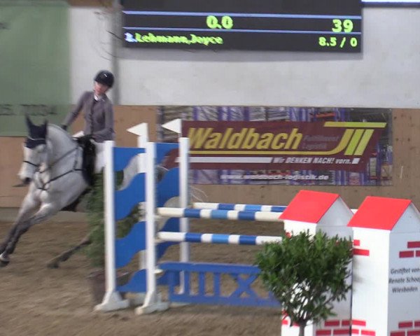 Reitturnier Borgholzhausen-Westbarthausen 2022