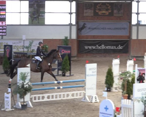 Reitturnier Grevenbroich - Gut Neuhaus 2022