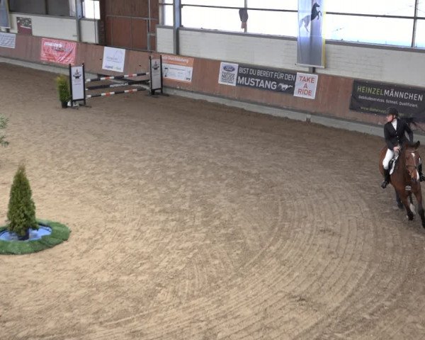 Reitturnier Grevenbroich - Gut Neuhaus 2022