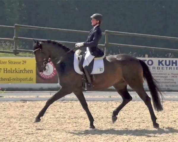 dressage horse Delaware 16 (Oldenburg, 2006, from Diamond Hit)
