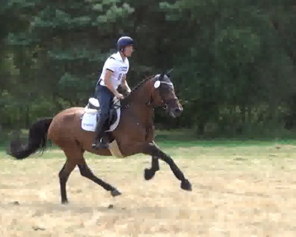jumper Charlize (Mecklenburg, 2007, from Champion de Cord)