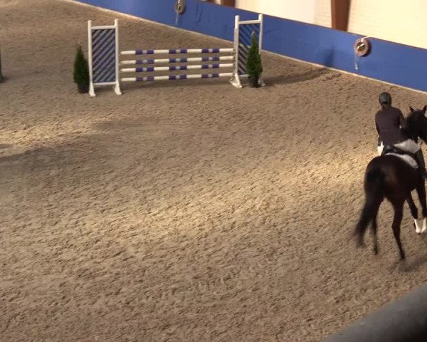 Reitturnier Sögel 2022