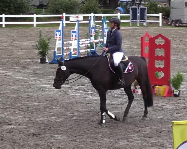 Springturnier Mildstedt 2021