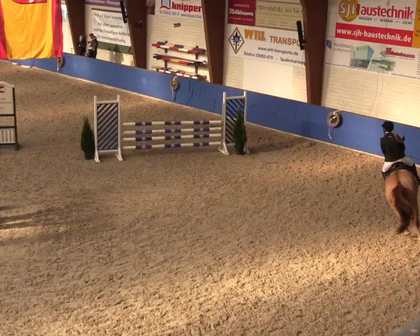Reitturnier Sögel 2022