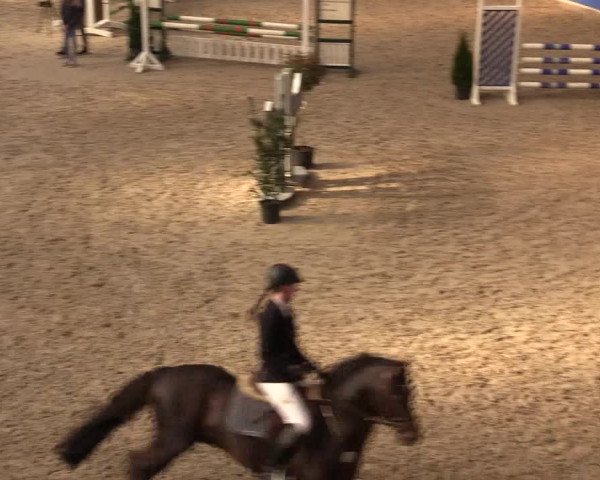 Reitturnier Sögel 2022